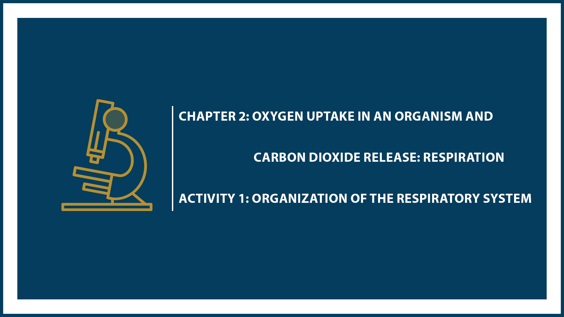 Chapter 2: Respiration (Activity 1: Organization of the Respiratory System)